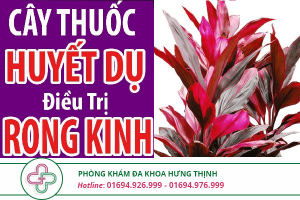cây huyết dụ chữa rong kinh